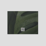 Satori Skin Bible Ebook - Your Expert Guide To Healthy Skin